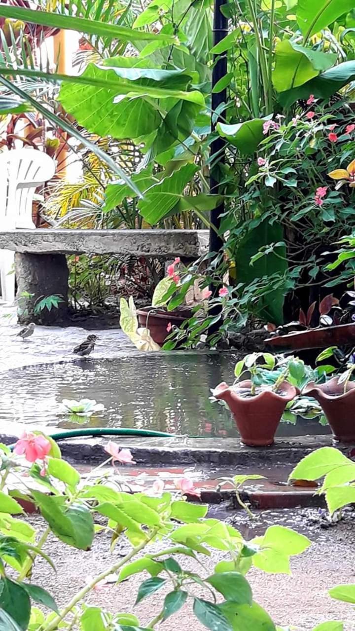 Pousada Brumar Rio de Janeiro Bagian luar foto